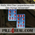 Wofür Wird Das Leopardenwunder Des Honigs Verwendet 05
